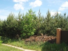 Участок в коттеджном городке на Житомирской трассе
