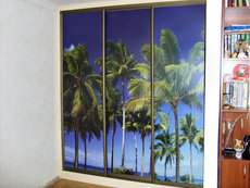 Шкафы-купе фотопечать