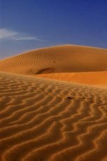 Песок строительный от 12тн. Доставка.