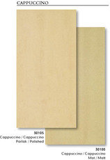 Фасадная плитка (керамогранит)