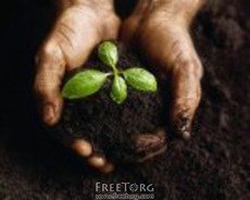 Чернозем, песок, цемент, керамзит, перегной. Доставка беспл