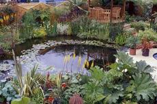 Водоемы для участка, сада, дачи