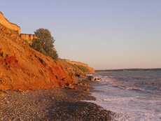 Глина, Доставка бесплатно! Днепропетровск
