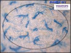 Декоративные жидкие обои