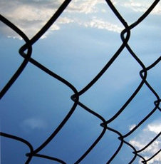 Сітка Рабиця