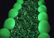 Светящиеся камни