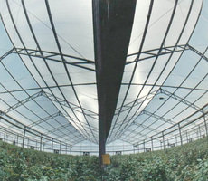 Продам поликарбонат дешево