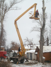 Удаление деревьев Обрезка деревьев Корчевание пней. покос тр