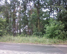 Недобудований будинок