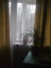 срочно сдам