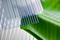 Ячеистый поликарбонат Днепропетровск цена