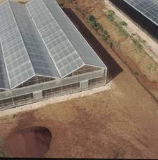 Поликарбонат для навесов