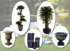 Вазы (вазоны)