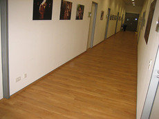 Ламинат Eco Forest