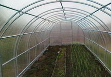 Каркасы тепиц (теплица кремлевская)