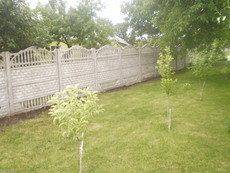 Еврозаборы Днепропетровск