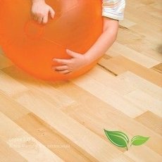 Укладка и ремонт ламината, паркетной доски.