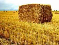 Экодома Straw-bale грн. м2 под ключ