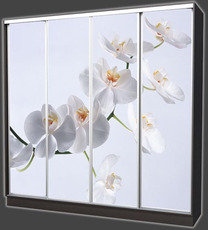 Корпусная мебель