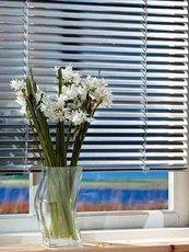 Жалюзи, роллеты