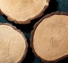 плитка для дорожек