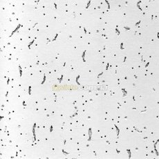 Подвесные потолки Armstrong/ Армстронг