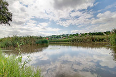 Продам земельный участок 37 соток с домом на берегу в Камянк