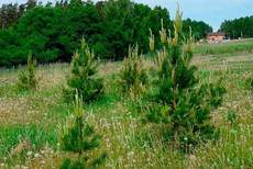 Участок 86 км. Симферопольского шоссе. Все включено.