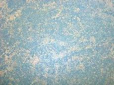 Скажи «Нет! » Обоям!