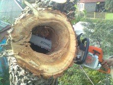 Пилим деревья, спил аварийных деревьев любой сложности, форм