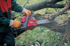 СПИЛ ДЕРЕВЬЕВ в Днепропетровске