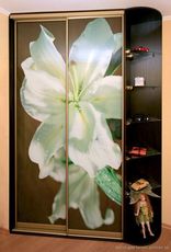 Шкафы-купе Киев недорого