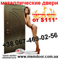 Входные металлические двери