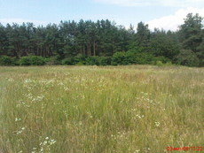 Участок 45 км от Киева