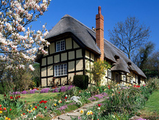 Загородное строительство домов