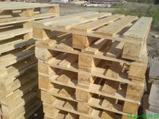 Продаю поддоны (паллеты).