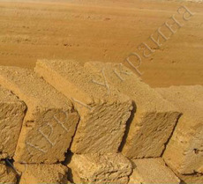 Ракушечник крымский 18х18х38 см