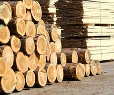 Пиломатериалы от ТМ Левком