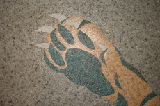 линолеум полукоммерческий бытовой