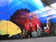 Керамическая плитка с фотомолекулярным полноцветом.