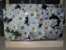 Стеклянные столешницы с фотомолекулярной полноцветом.