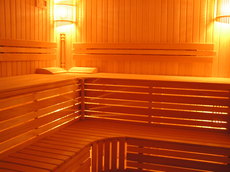 Сауны, бани, хаммамы (турецкая баня) - строительство под к