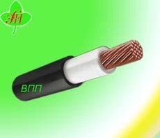 Провод ВПП в Киеве