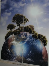 Стеновые стеклянные и зеркальные панели с полноцветными фото