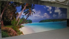 Скинали, -стеклянные кухонные фартуки с полноцветными фото.