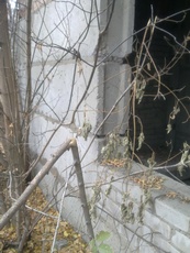 плиты перекрытия, блоки фбс б/у, заборные плиты любых размер