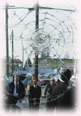 Противоударные пленки для защиты P1A, P2A, P3A