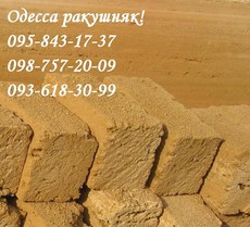 Одесса ракушняк