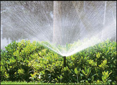 установка систем автоматического полива