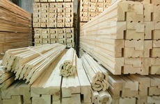 Продаётся брус, доска обрезная, необрезная. Киев.